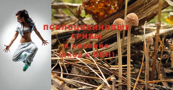 спиды Балахна