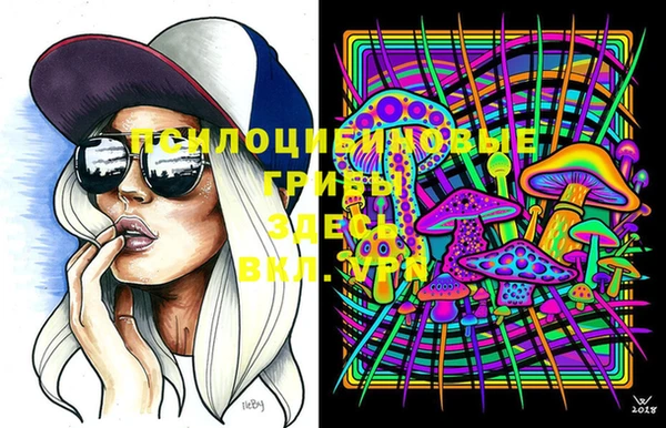 спиды Балахна