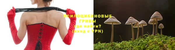 спайс Тавда
