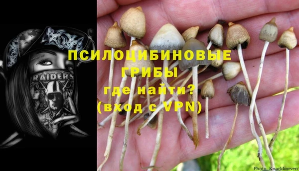 шишки Балабаново