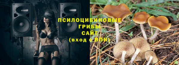 шишки Балабаново