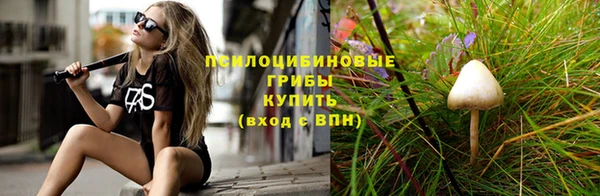 шишки Балабаново
