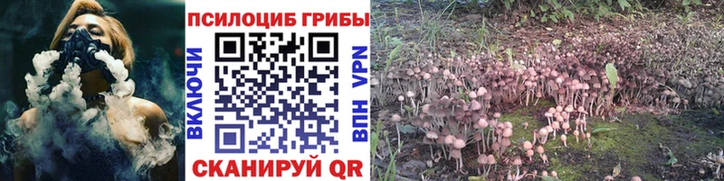 маркетплейс какой сайт Егорьевск Галлюциногенные грибы мухоморы