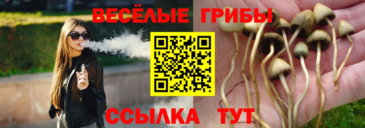 Псилоцибиновые грибы прущие грибы Егорьевск